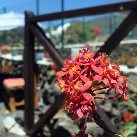 Дом отдыха Casitas Manuel Эль-Пасо