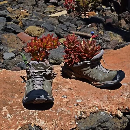 Casitas Manuel 度假居 埃尔帕索