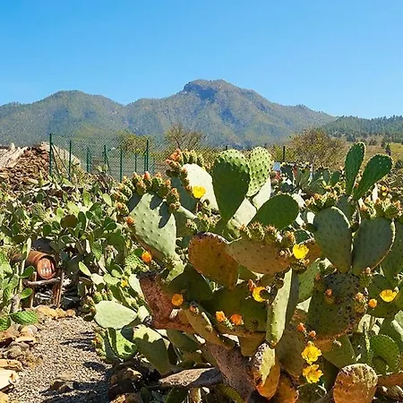 Casitas Manuel Сasa de vacaciones El Paso