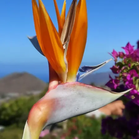 Casitas Manuel El Paso